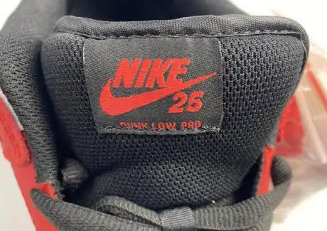 Low years 309242-307 25th Nike SB Dunk 0613